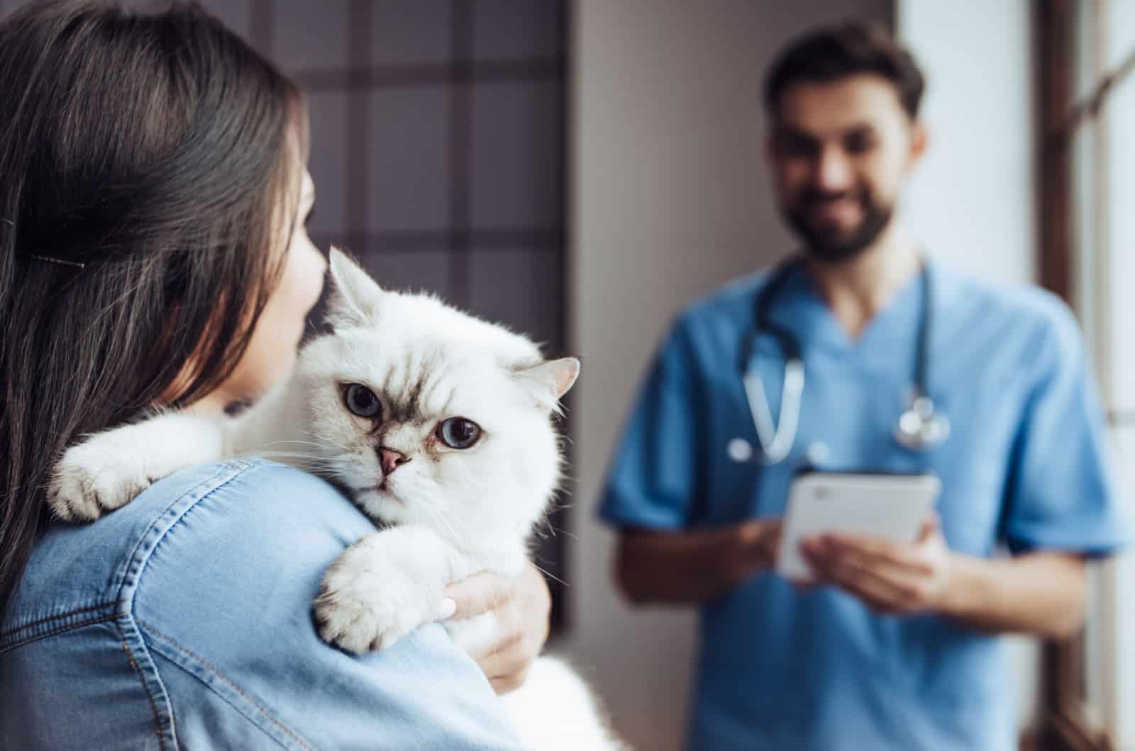 woman taking her cat to the vet