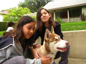 Husky and Children