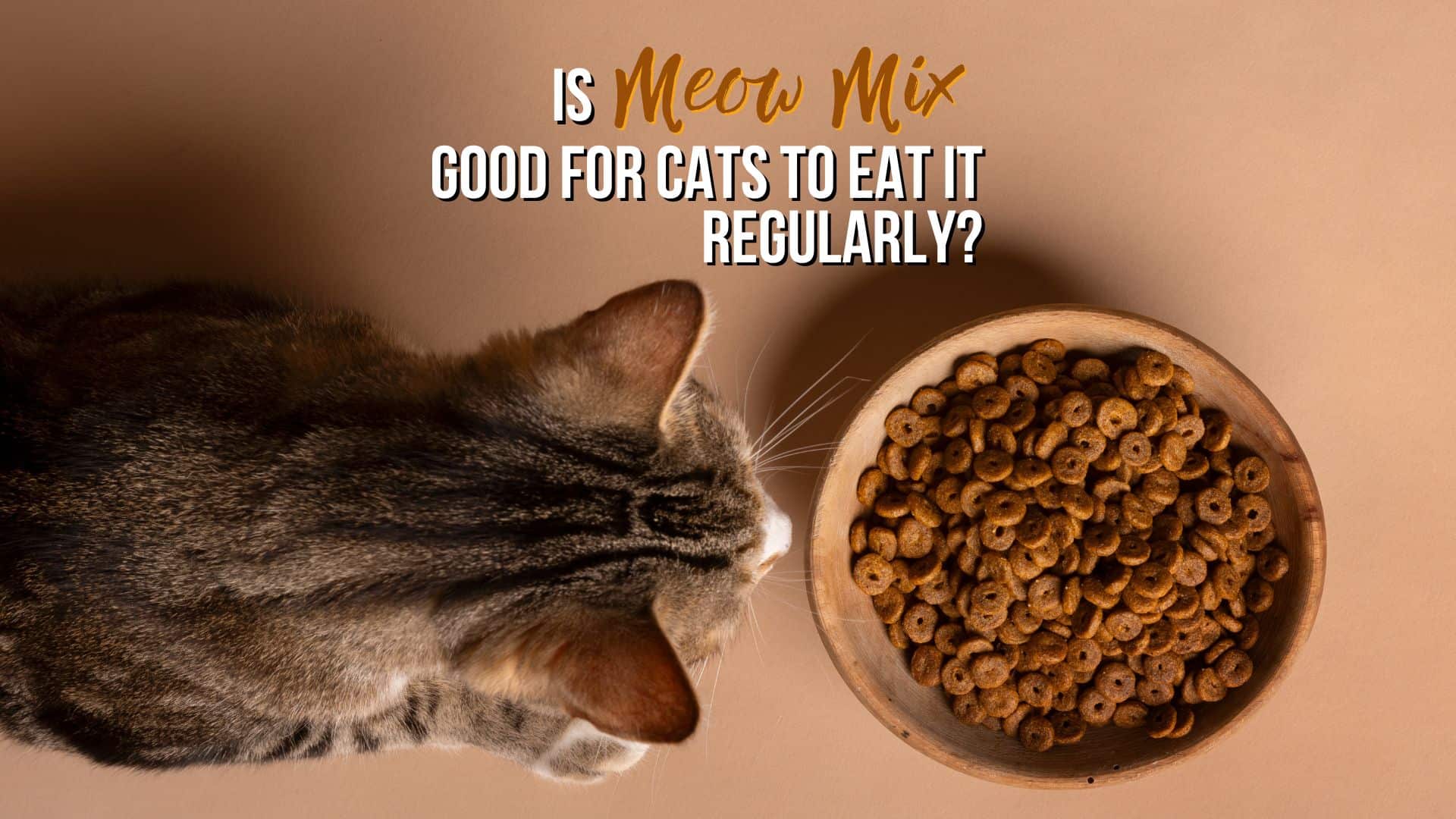 Is Meow Mix Good For Cats To Eat It Regularly