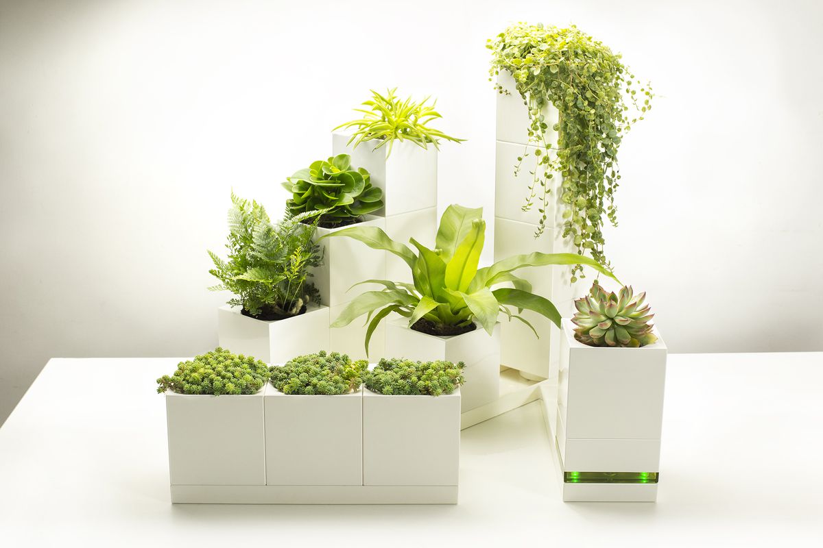 LeGrow smart garden