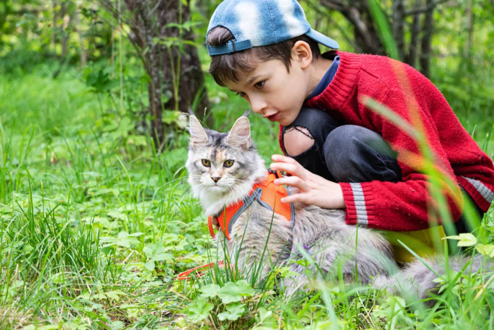 Maine Coon with a boy in the garden