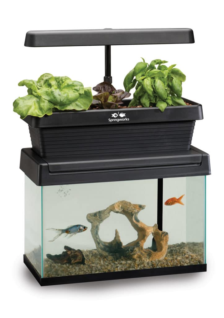 Springworks microfarm aquarium topper aquaponics system