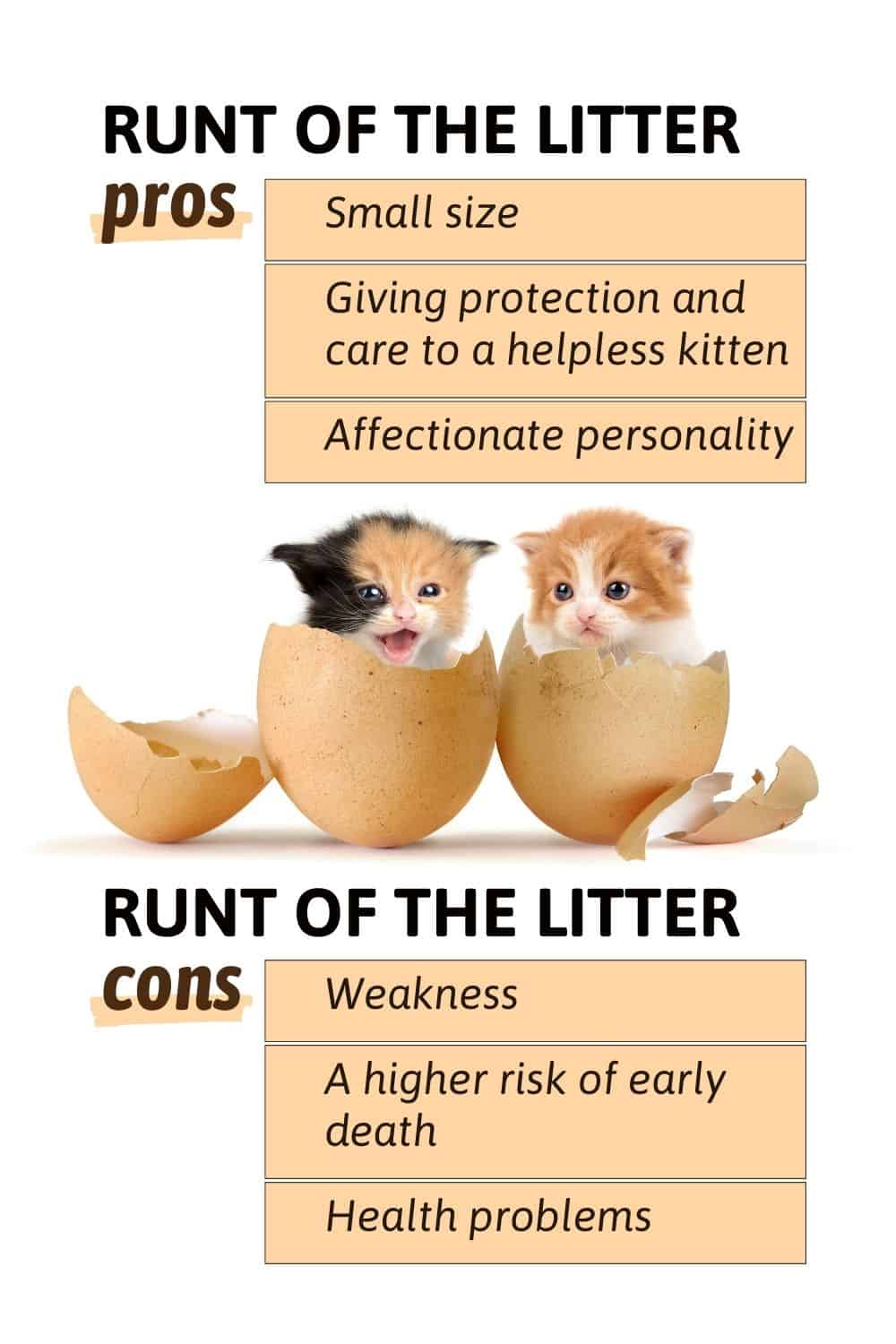 Runt Of The Litter Pros And Cons Overview