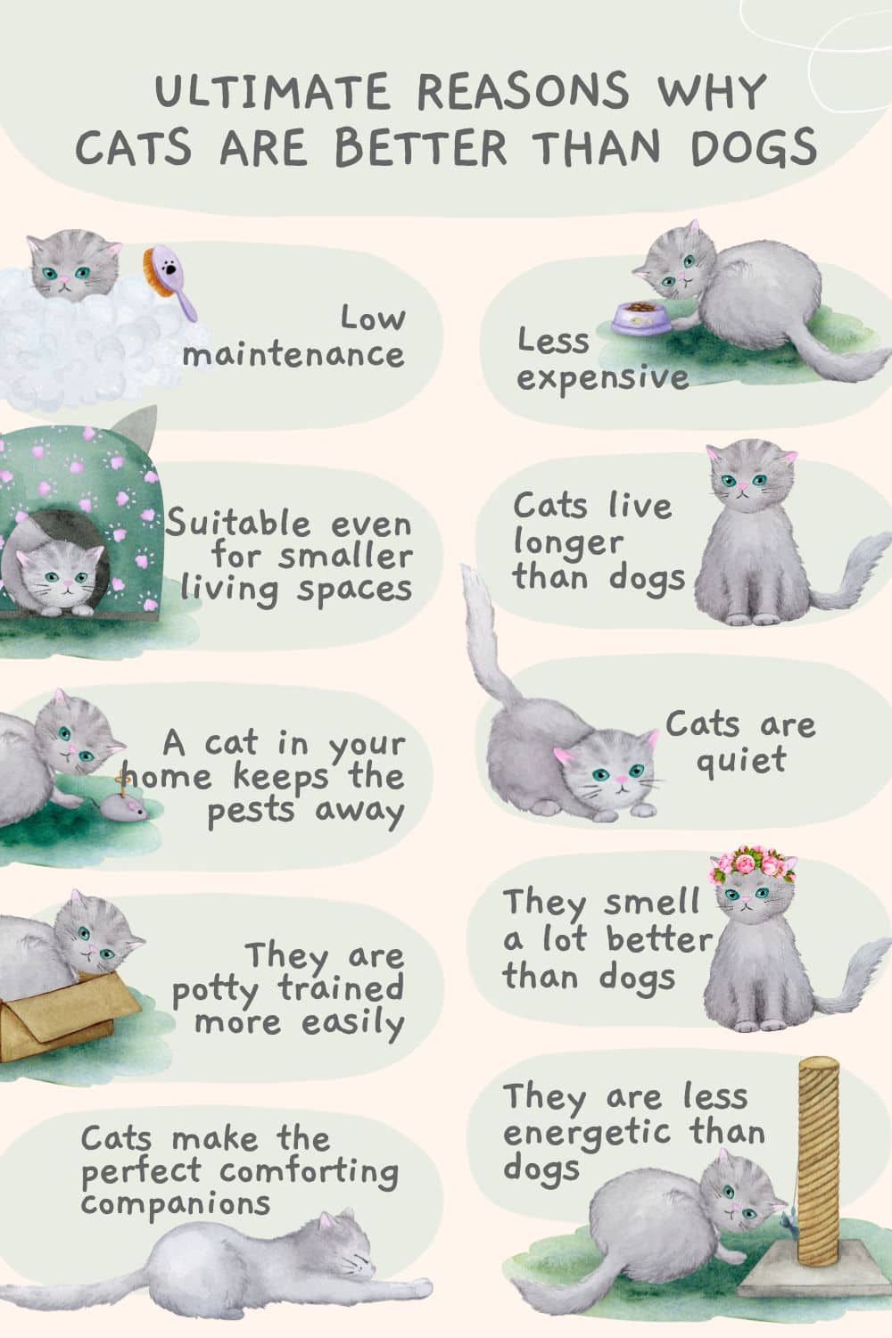 Ultimate Reasons Why Cats Are Better Than Dogs