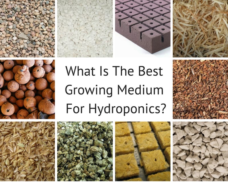 what is the best growing medium for hydroponics