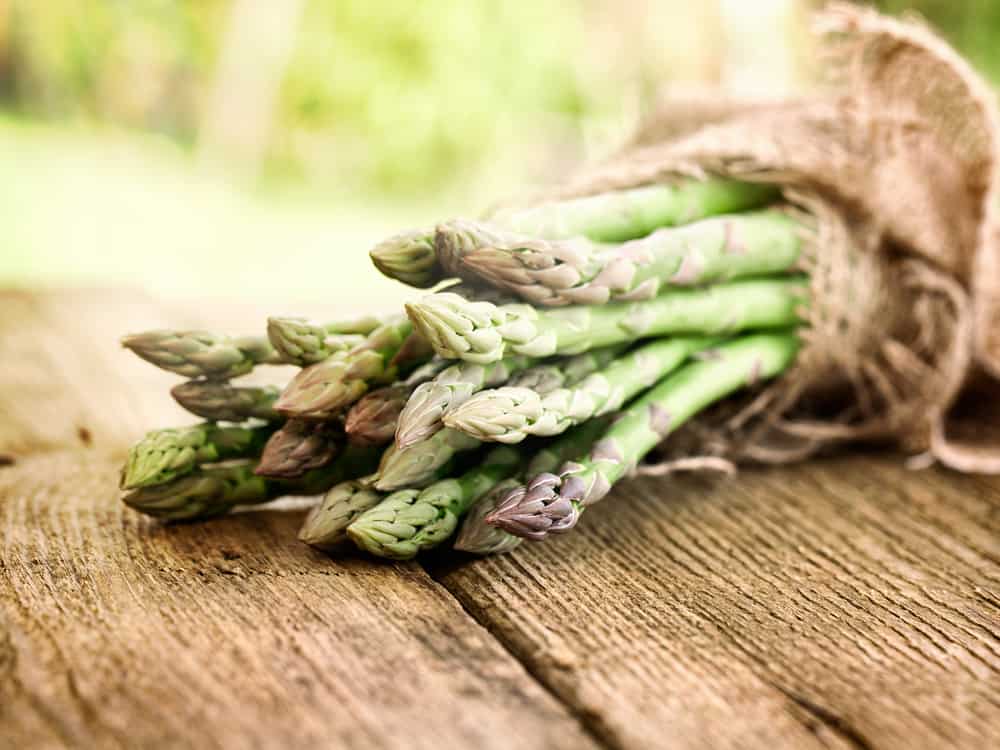 Why Do Cats Like Asparagus?