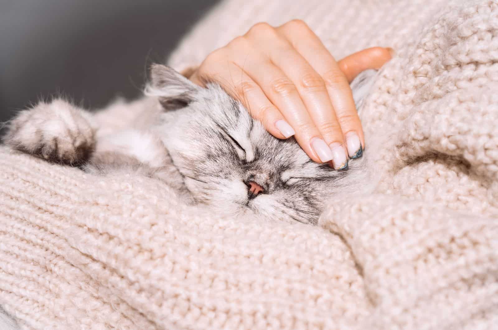 cat sleeping on woman