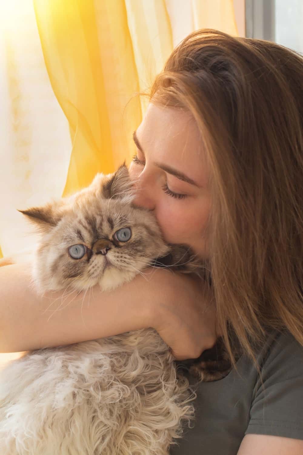 Woman holding Persian cat