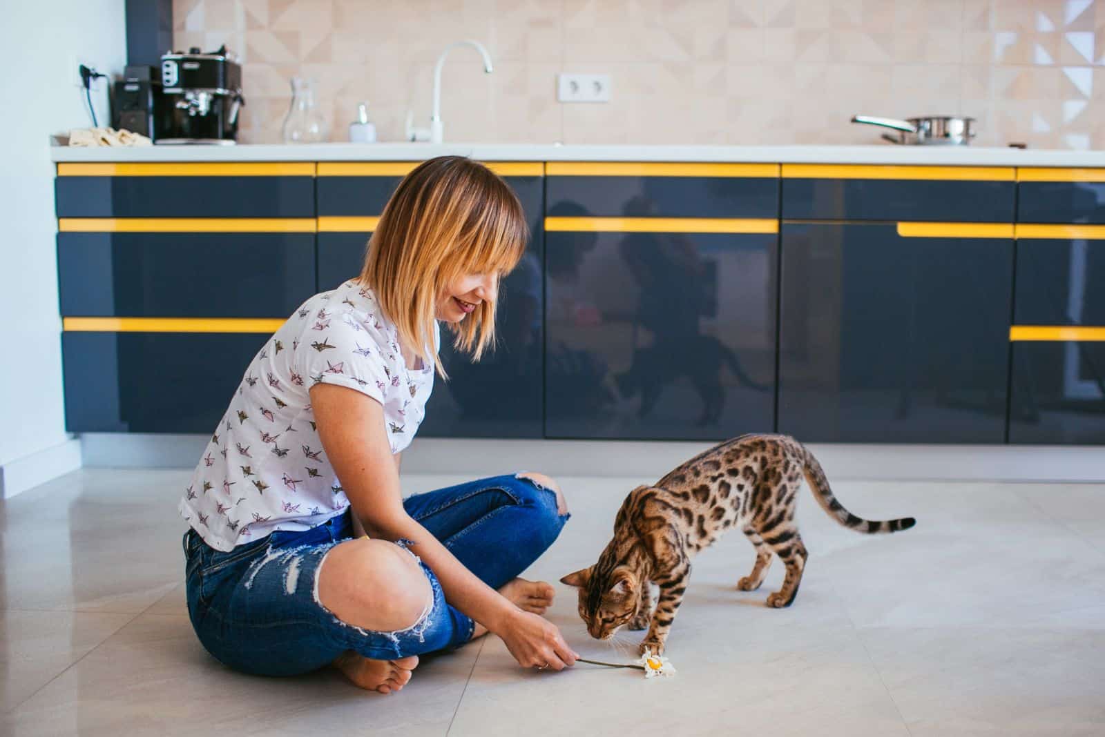 Woman plays with Bengal cat on the floor in the kitchen