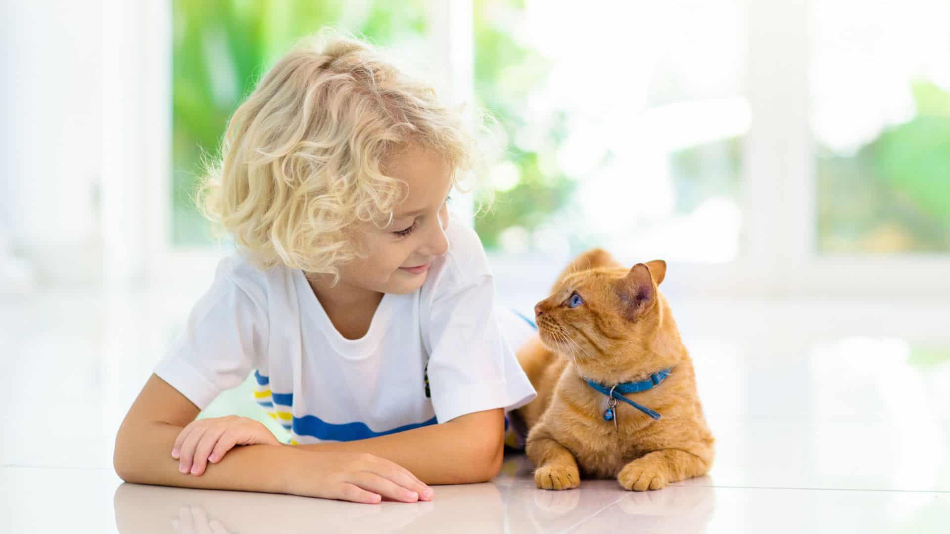 a blonde boy and an orange cat looking at eachother