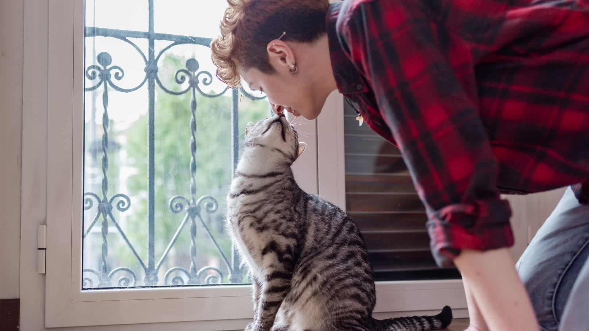 a cat showing affection to a person and kissing them