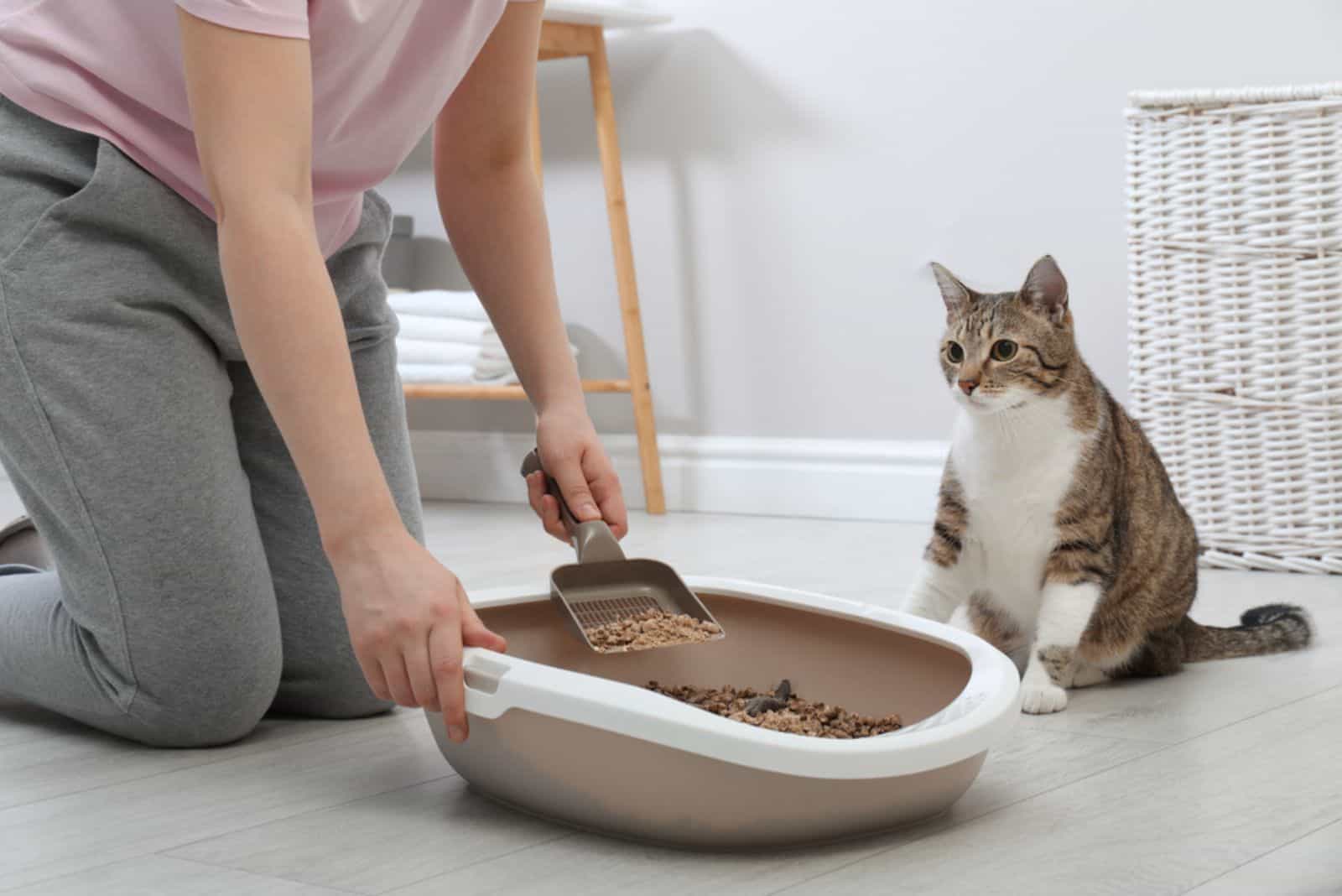 a woman cleans a cat litter box