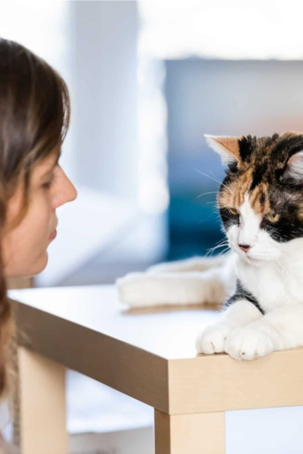 a woman looks at an angry cat