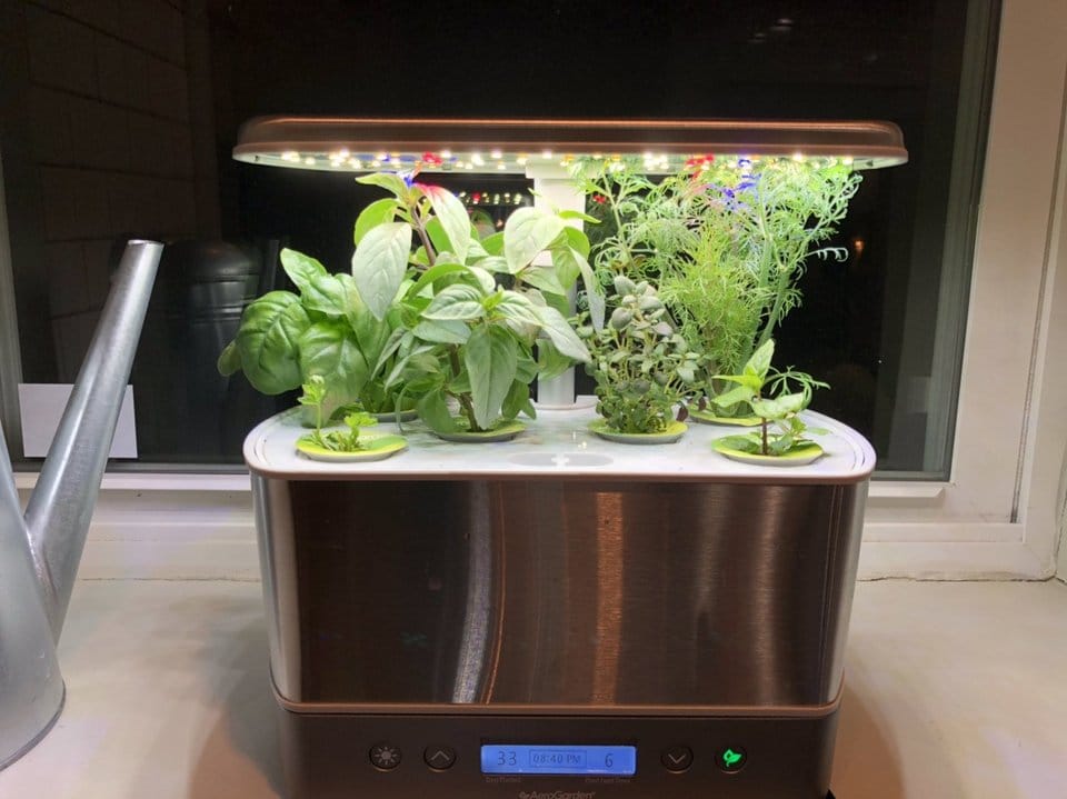 pros and cons of aerogarden