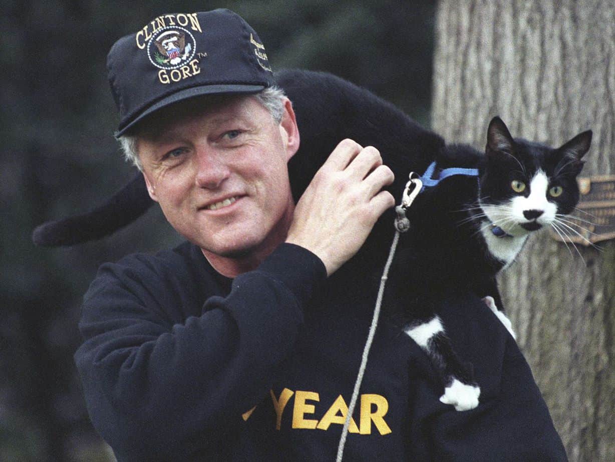 bill clinton with socks the presdiential cat