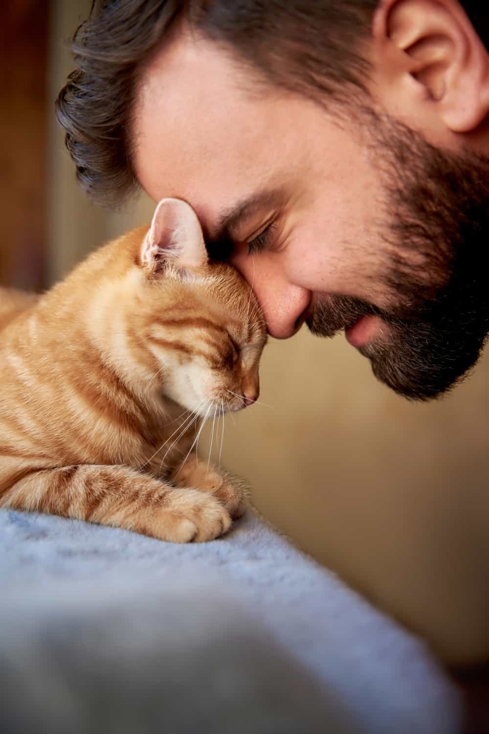 cat and man leaning heads on each other