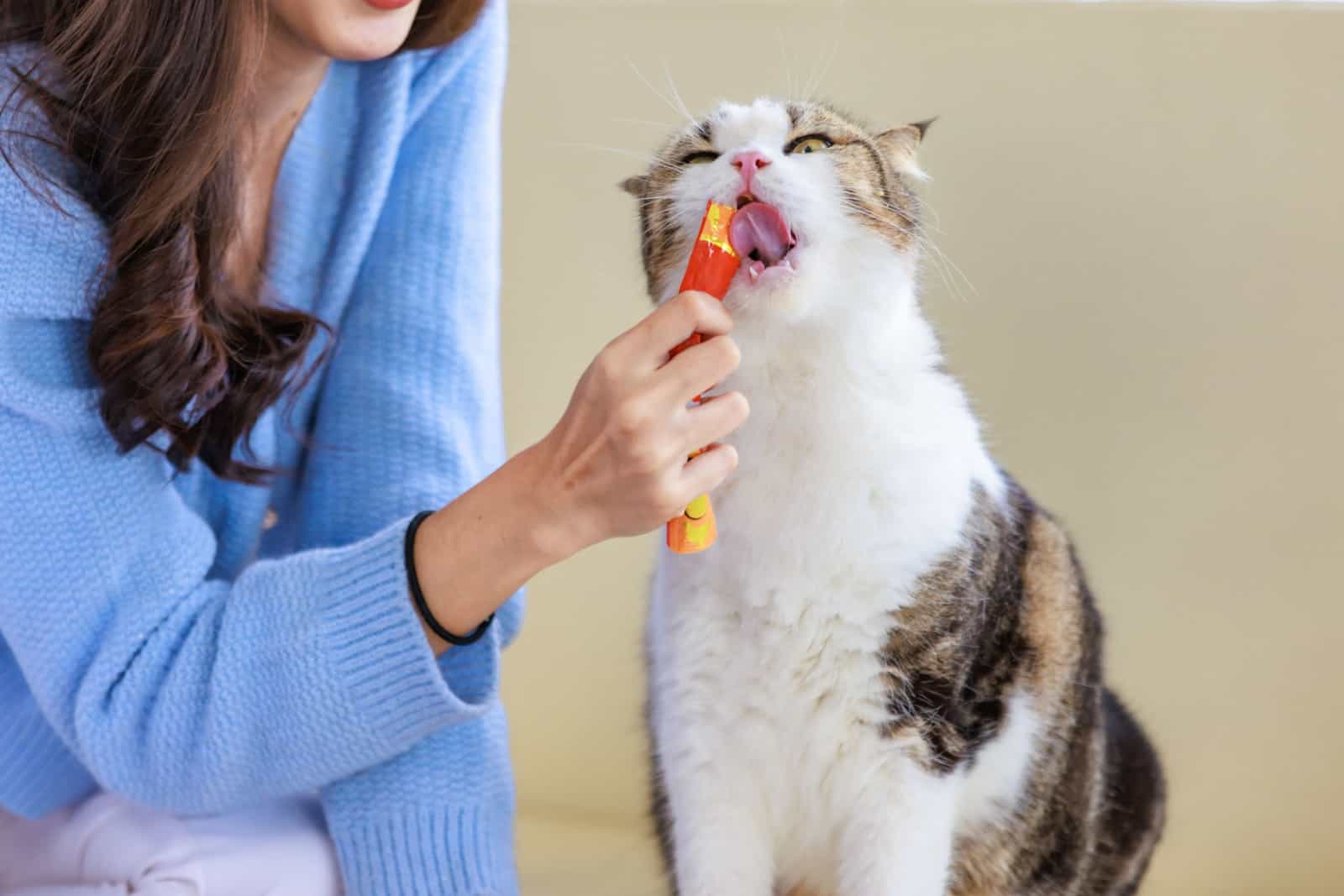 cat eating jelly treat