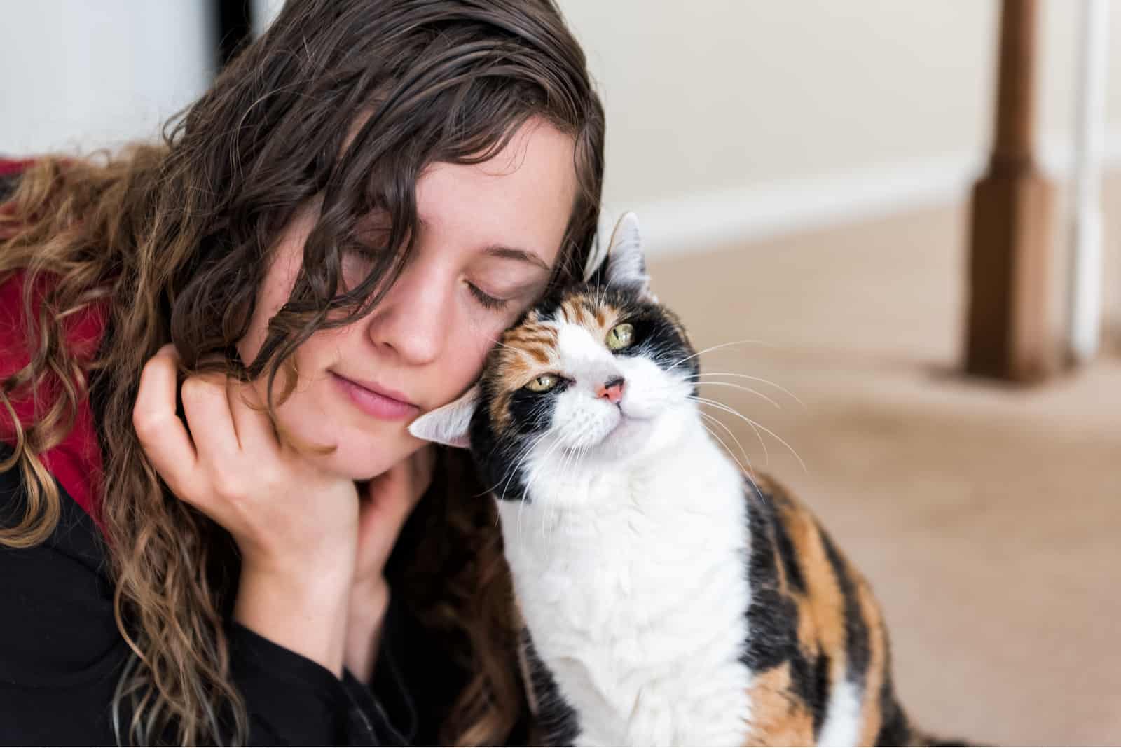 cat headbutts her owner