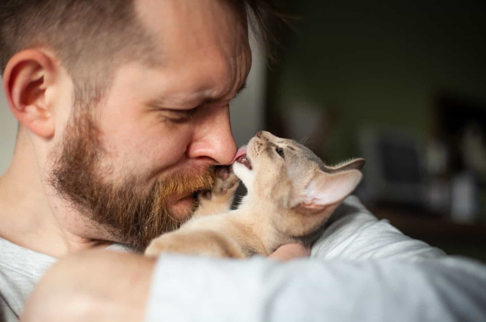 cat licking mans nose