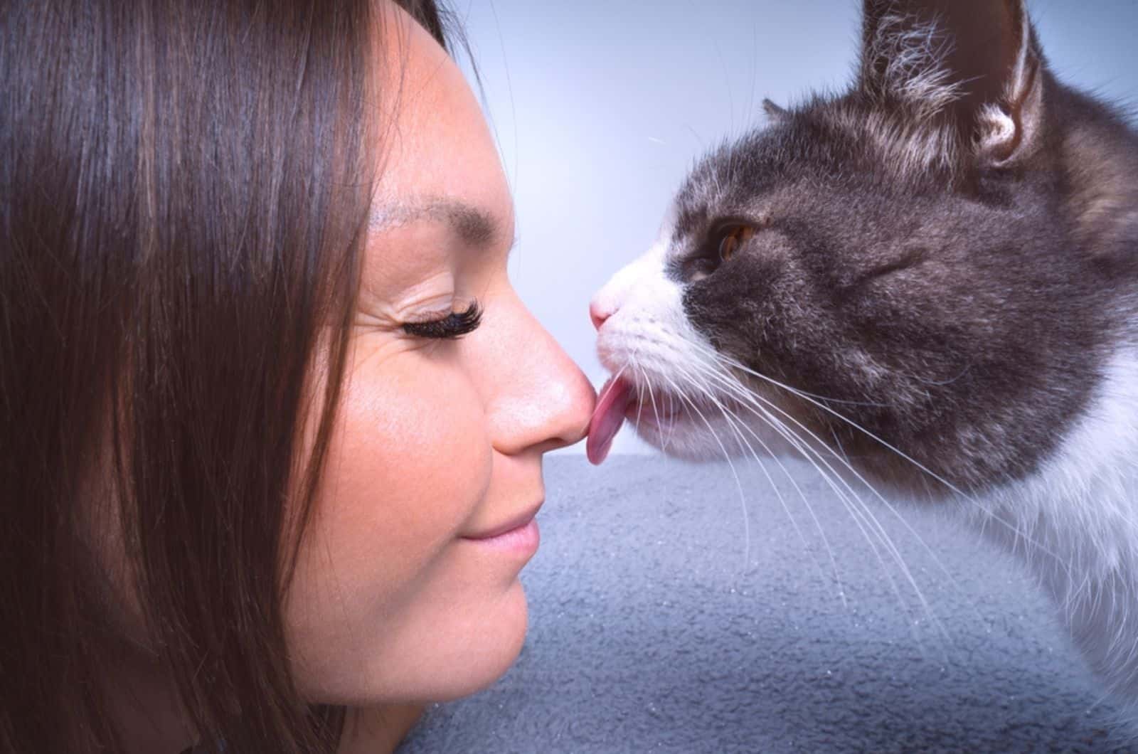 cat licking womans nose