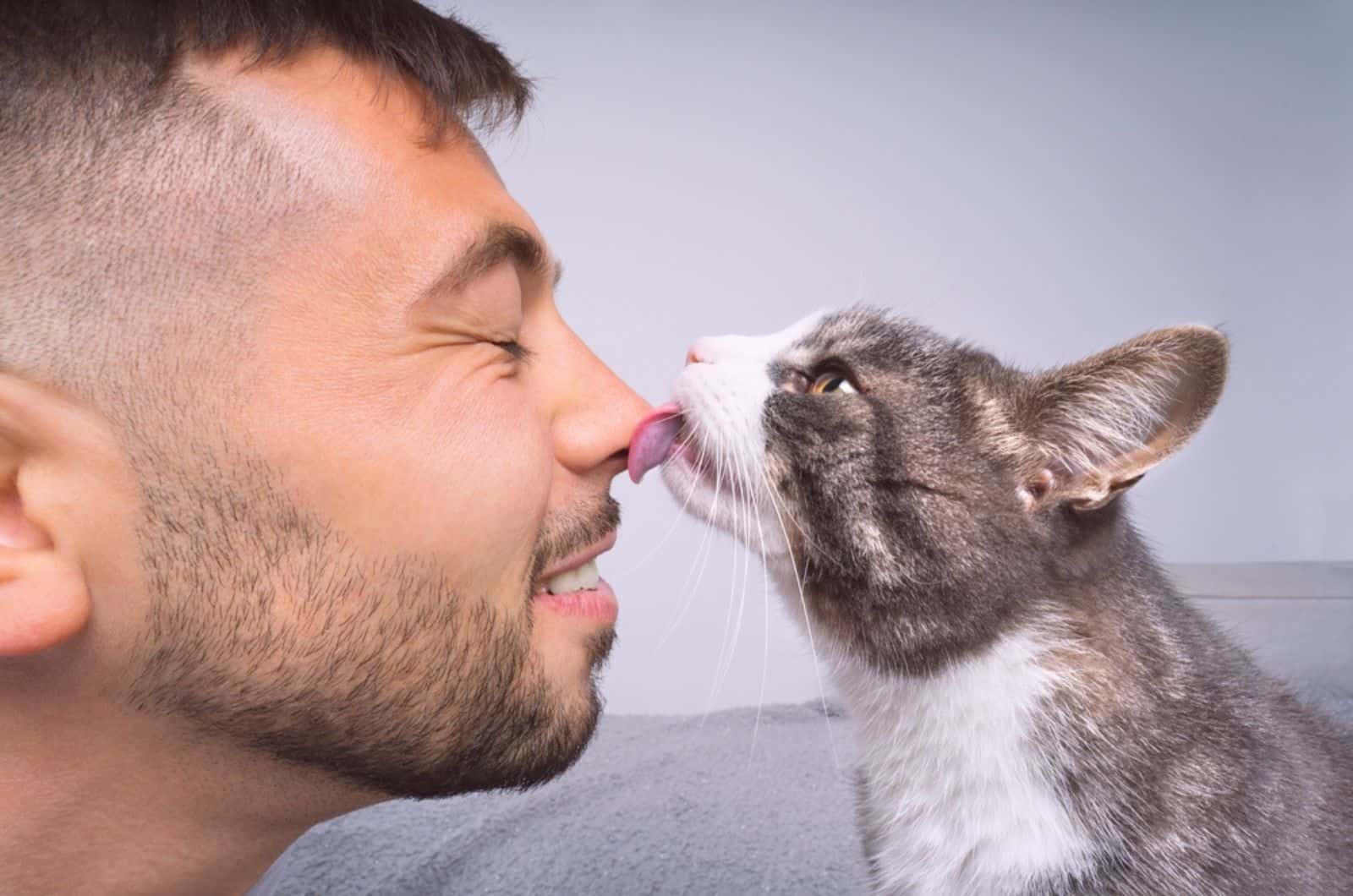 cat licking young man nose