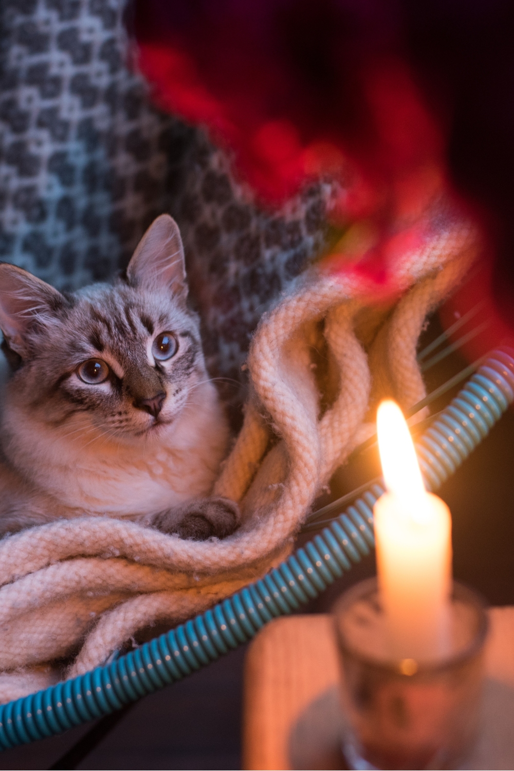 cat lying in a chair next to a lit up candle