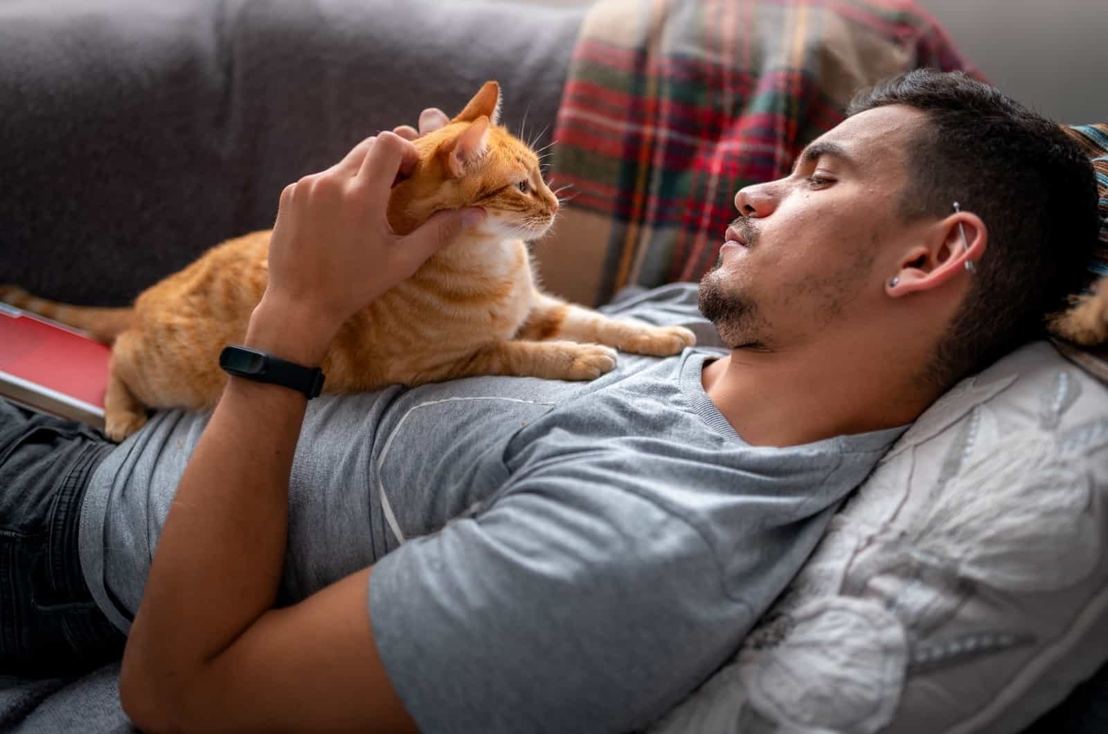 cat lying on man