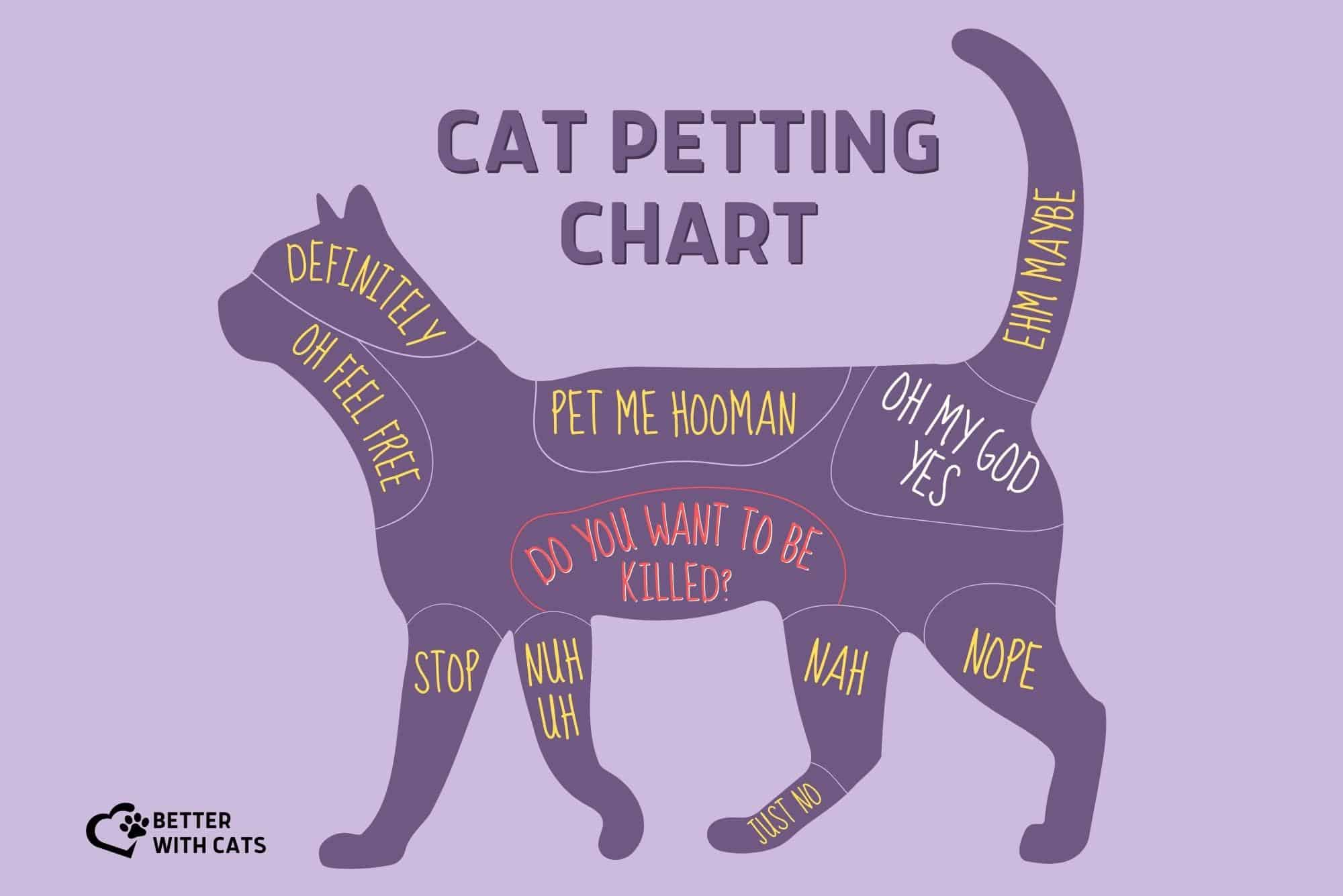 cat petting chart guide