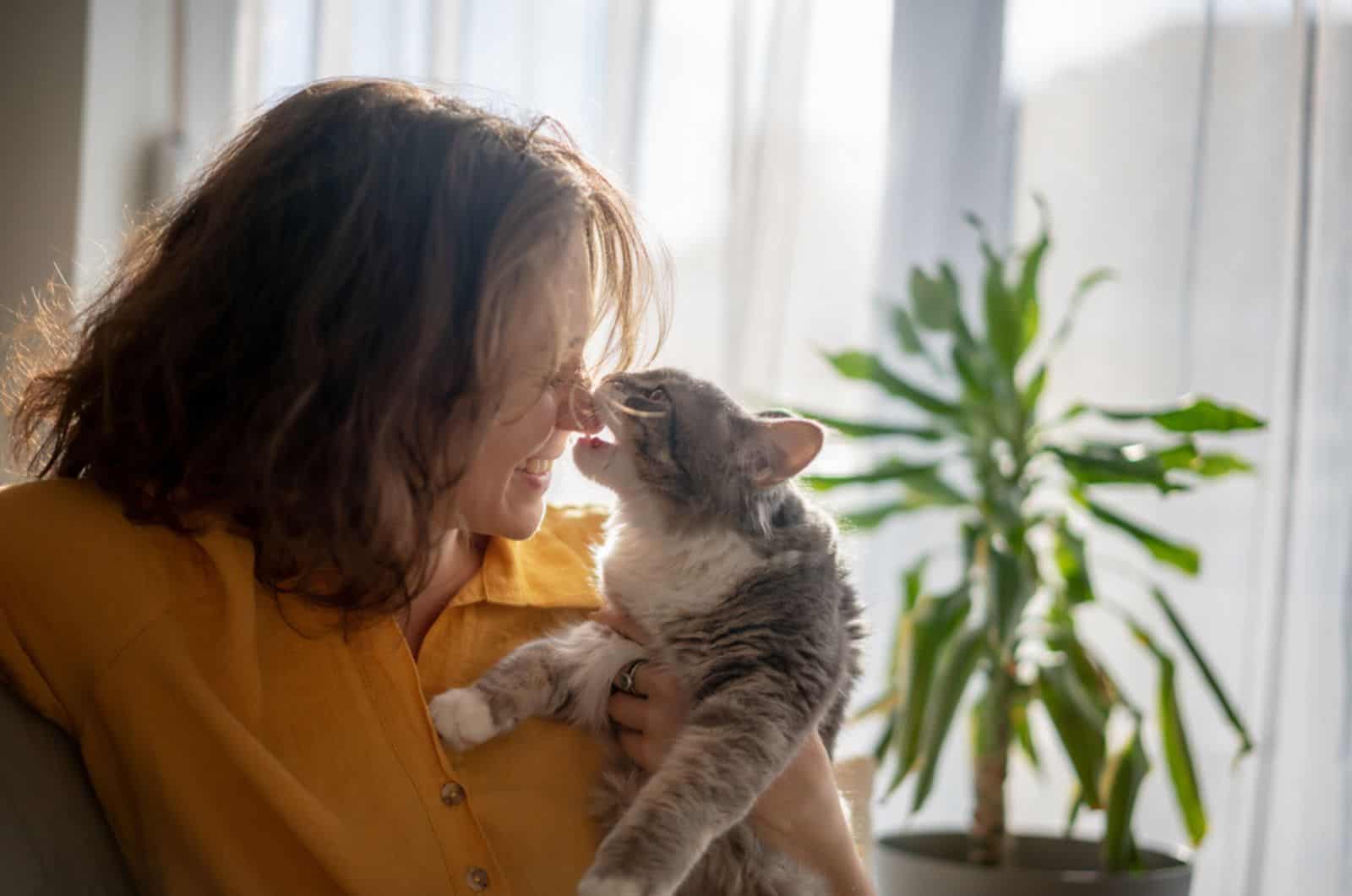 cat playing with woman nose