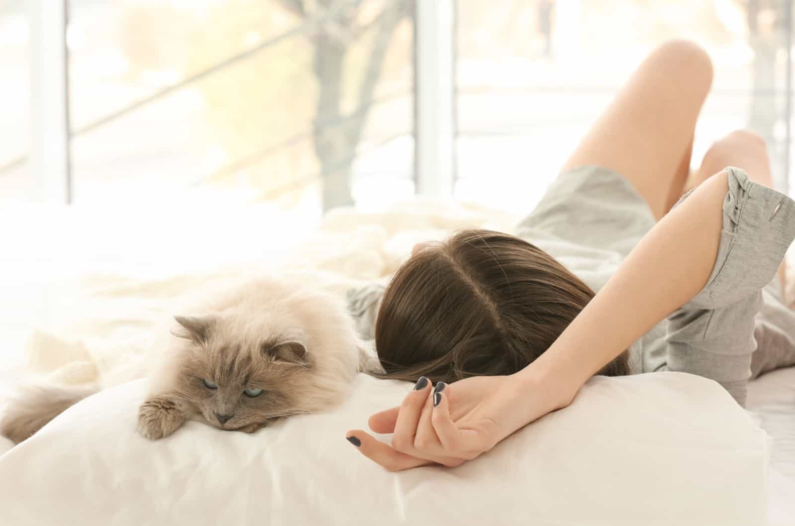 cat sleeping above woman's head