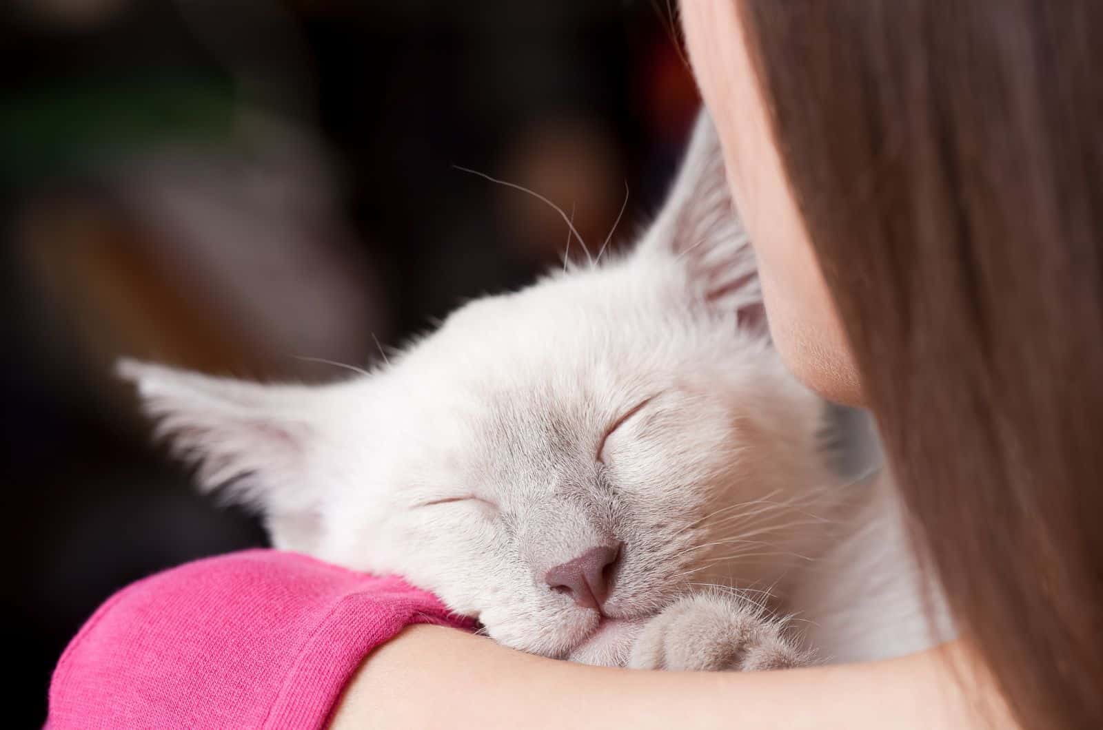 cat sleeping on girl's shoulder