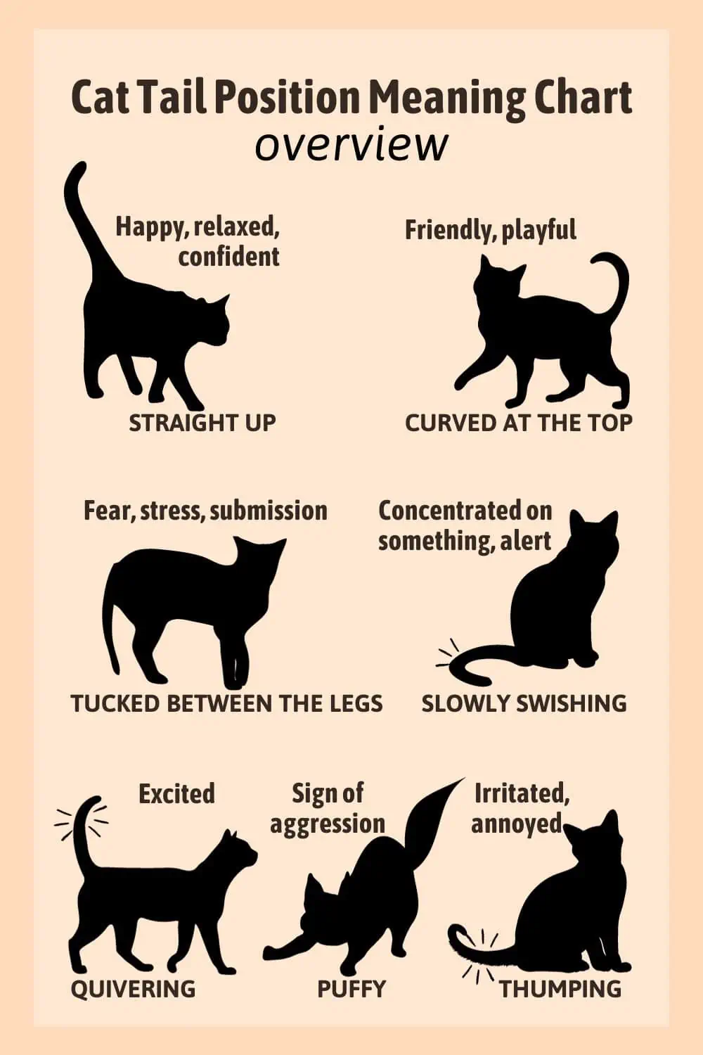 cat tail position meaning chart