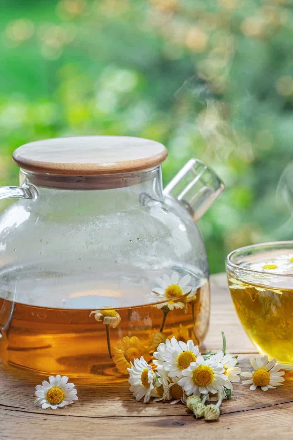 chamomile tea in a tea pot