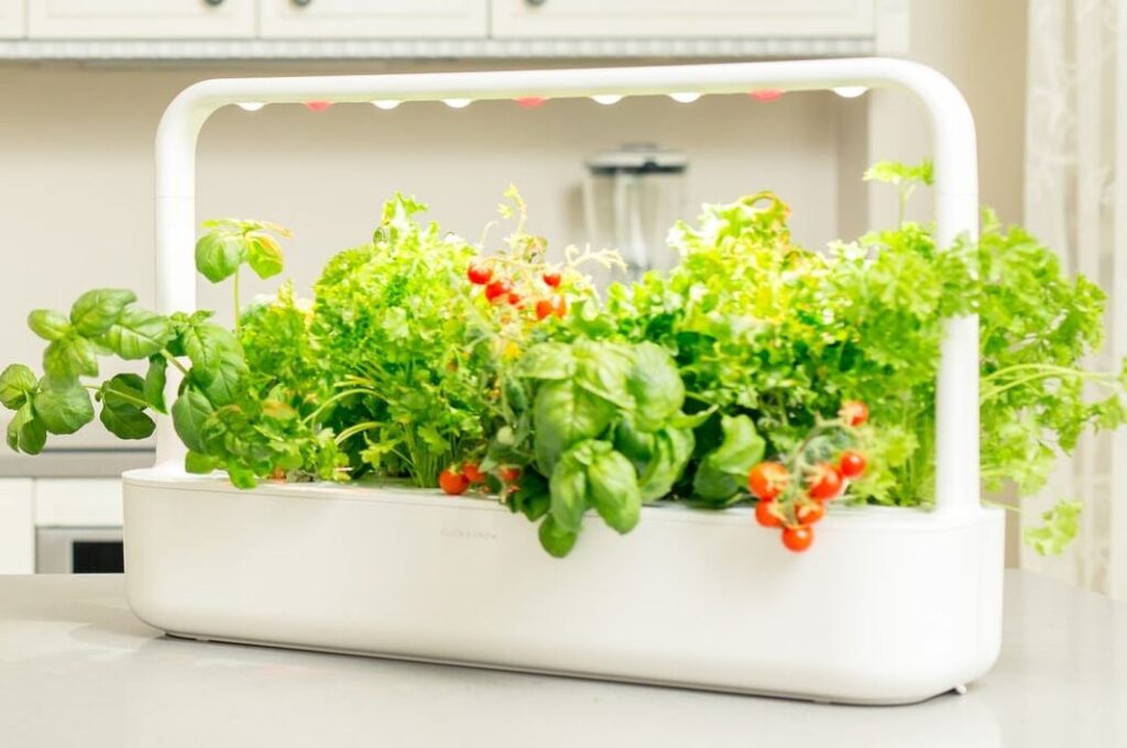 click and grow smart garden review and comparison