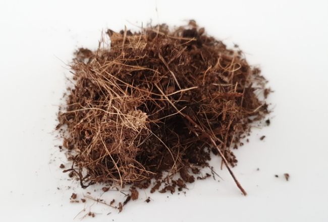 coconut coir for potting soil for indoor plants