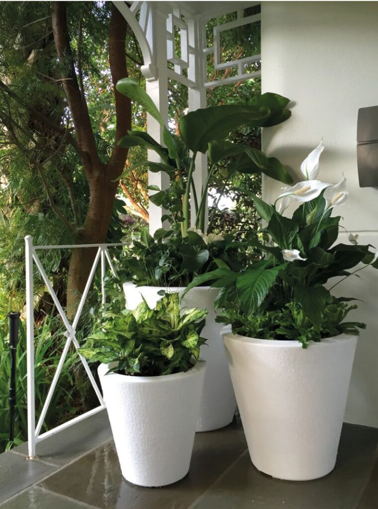 best indoor self watering planters