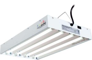 fluorescent grow light