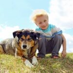 a young boy child is standing outside in the grass, smiling as he pets his German Shepherd Husky Mix Dog.