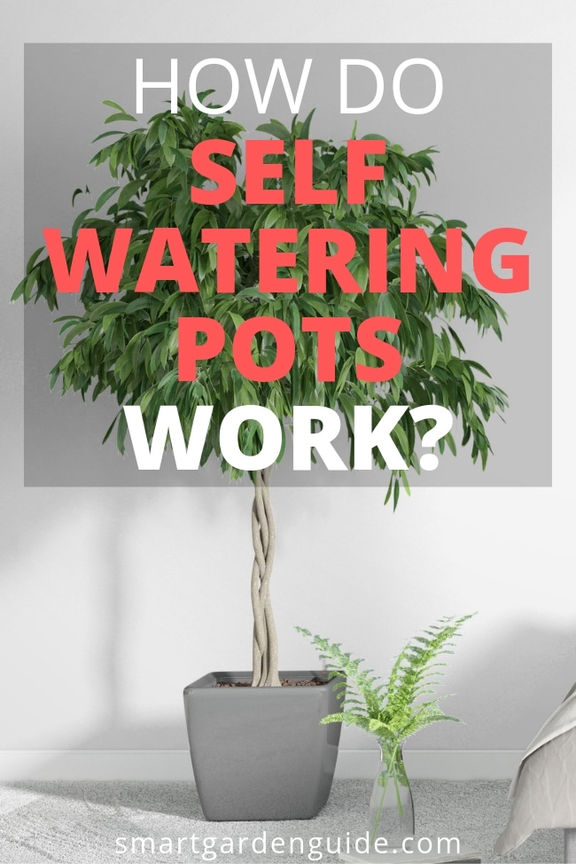 how do self watering pots work