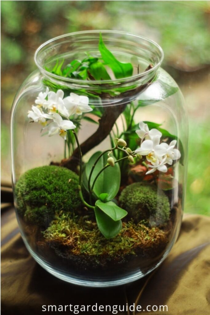 how does a terrarium work