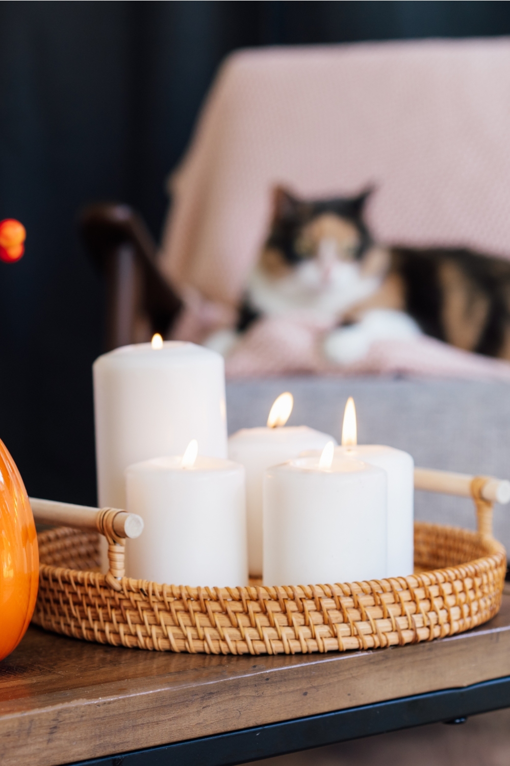 lit up candles with cat in the background