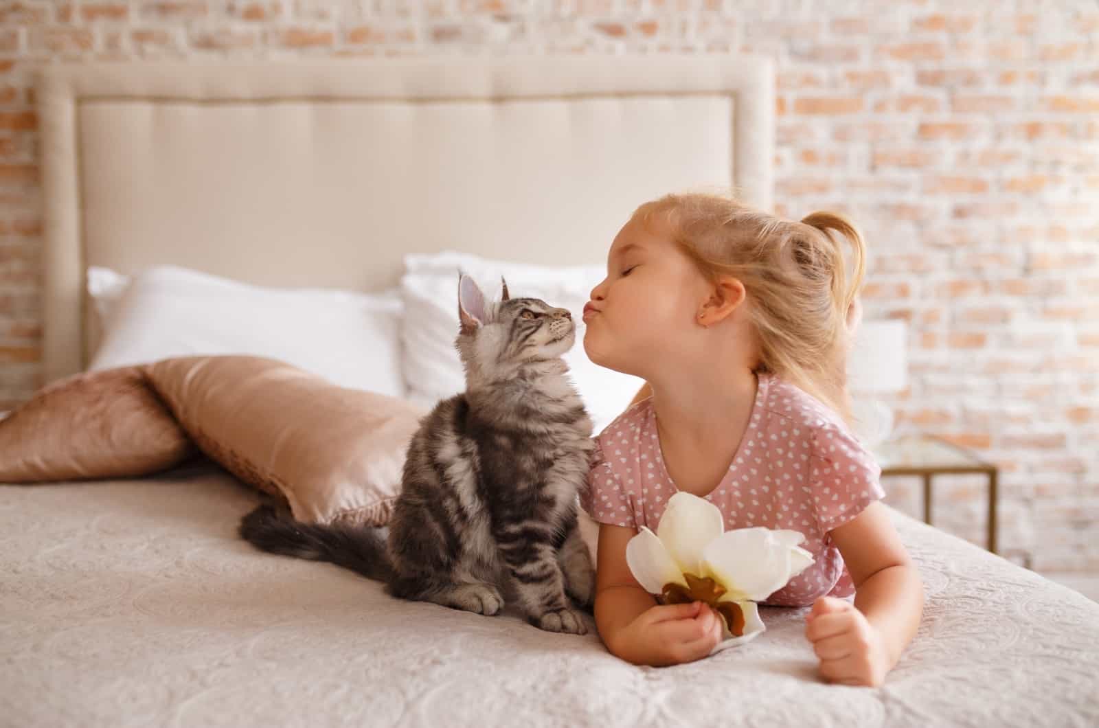 little girl playing with kitten