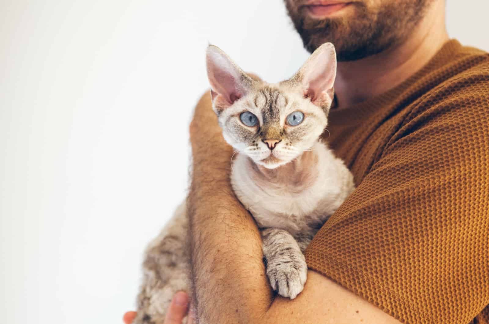 man holding a purebred devon rex