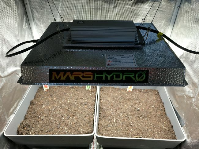 mars hydro ts 1000w led grow light review