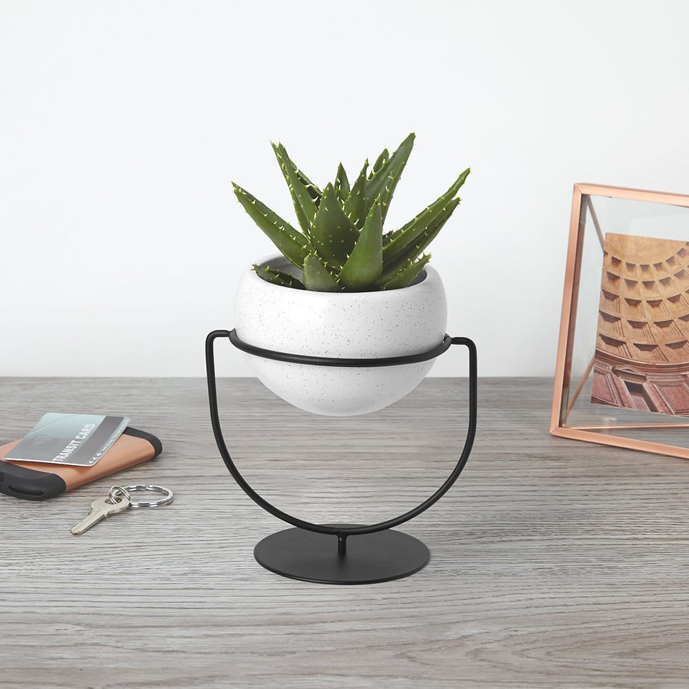 modern indoor planter