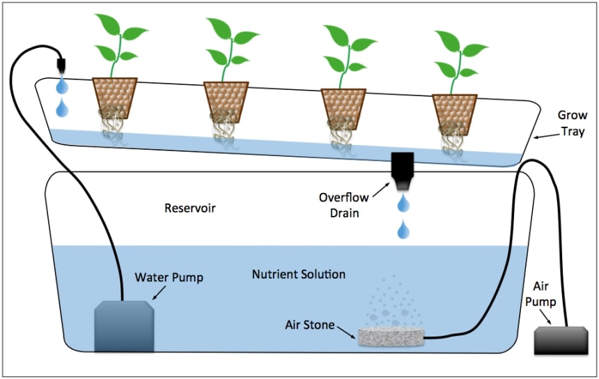 nutrient film technique hydroponics system