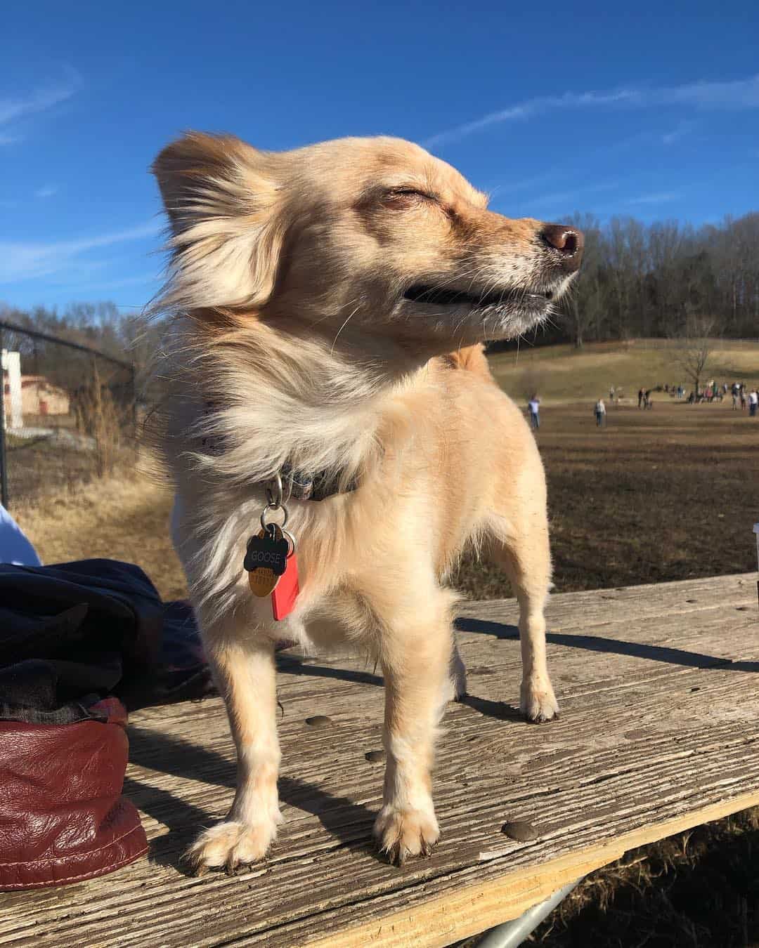 Chion looking up outside