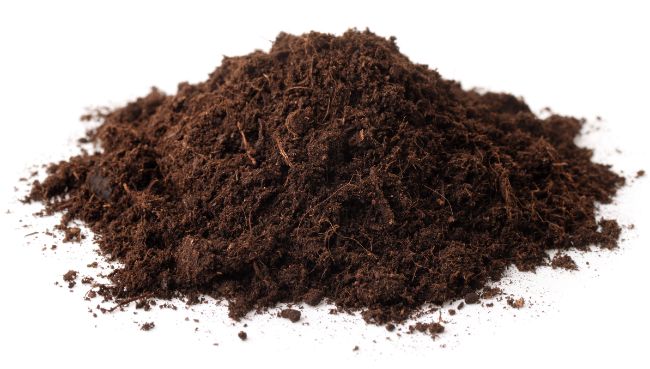 peat moss