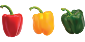 dogs can eat bell pepper of any color