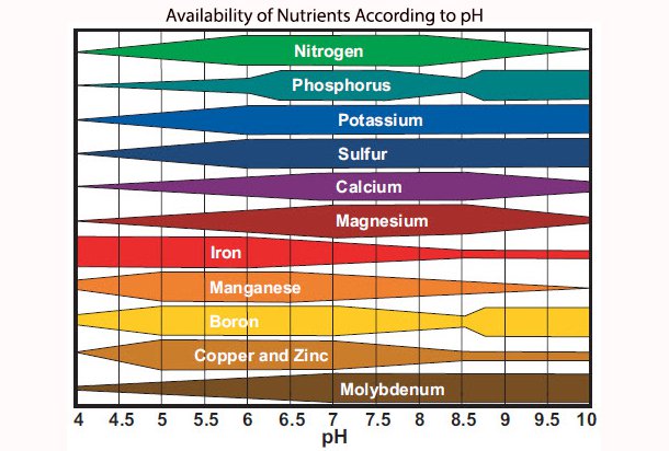 plant nutrient ph availability chart